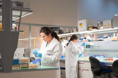 Grado en Biotecnología